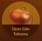 Bayram Tohum 1-uzun