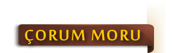Öorum Moru Etiket