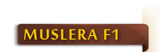 muslera_f1
